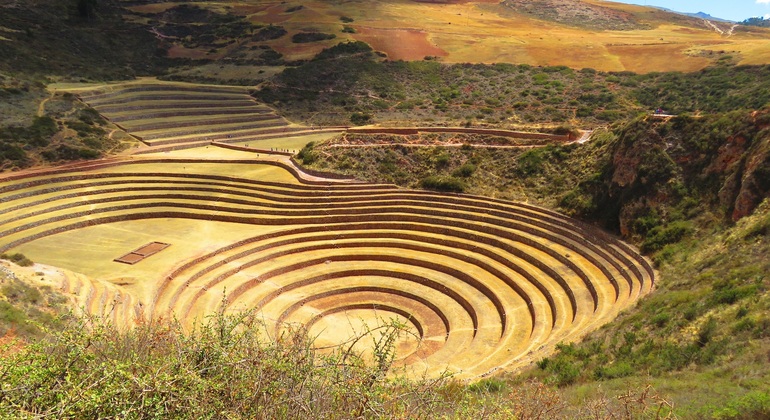 Vale Sagrado Minas De Sal E Moray Cusco Freetour