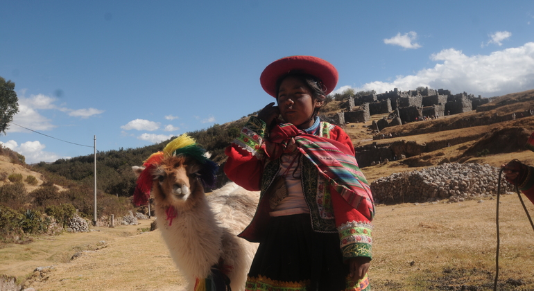 Cusco Half Day City Tour Cusco Freetour