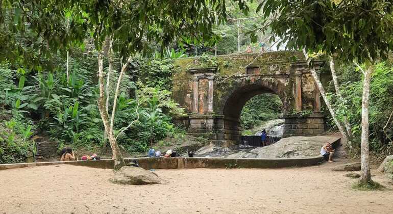 Tijuca Forest Jeep Adventure Rio De Janeiro Freetour