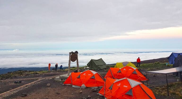 Escalada al Monte Kilimanjaro a través de la ruta Machame 7 días