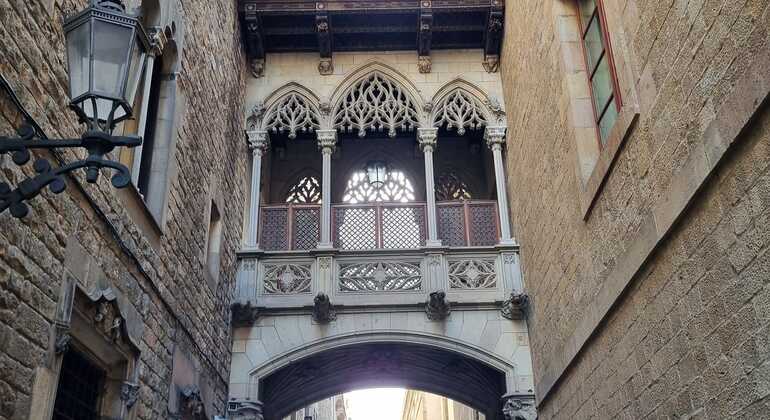 Free Tour Barcelona Casco Antiguo Barrio Gótico Raval y Born