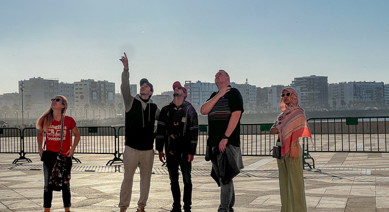 Casablanca The Old Medina Hassan Ii Mosque Guided Tour Casablanca