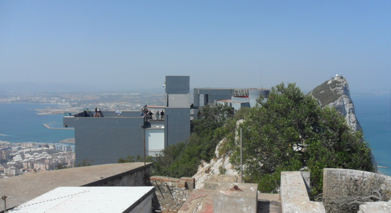 Gibraltar Upper Rock Walking Tour Gibraltar Freetour