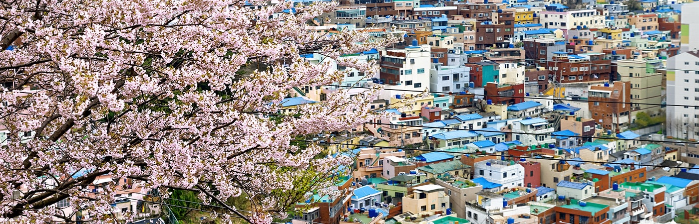 South Korea