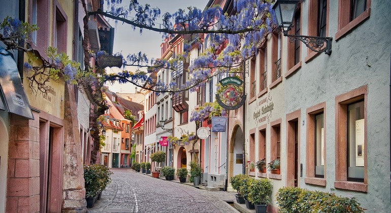 Freiburg Free Tour: The Gateway to the Black Forest