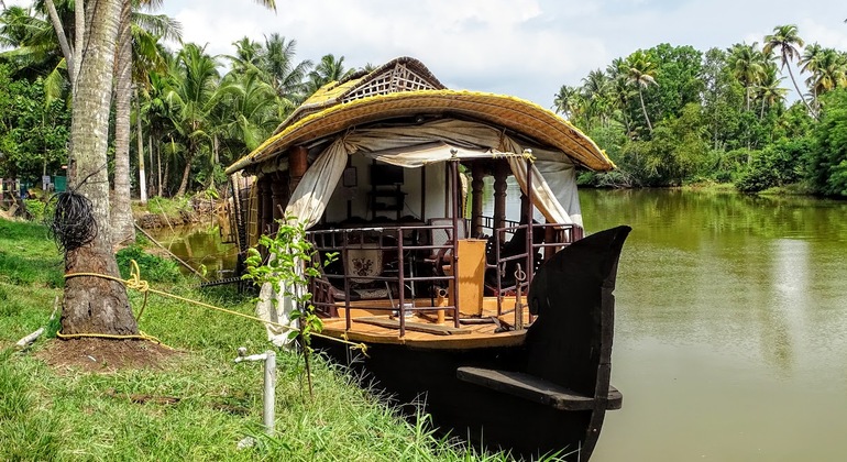 Houseboat Cruise in the Backwaters of Kerala - Alleppey | FREETOUR.com