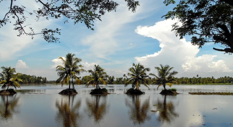 houseboat-cruise-in-the-backwaters-of-kerala-es-5