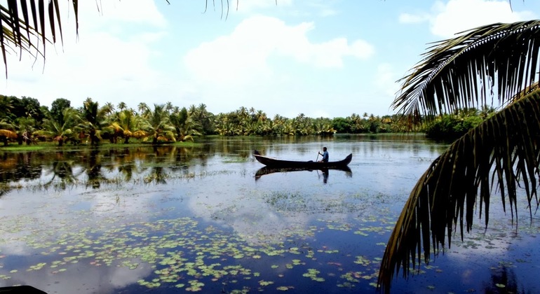 houseboat-cruise-in-the-backwaters-of-kerala-es-7