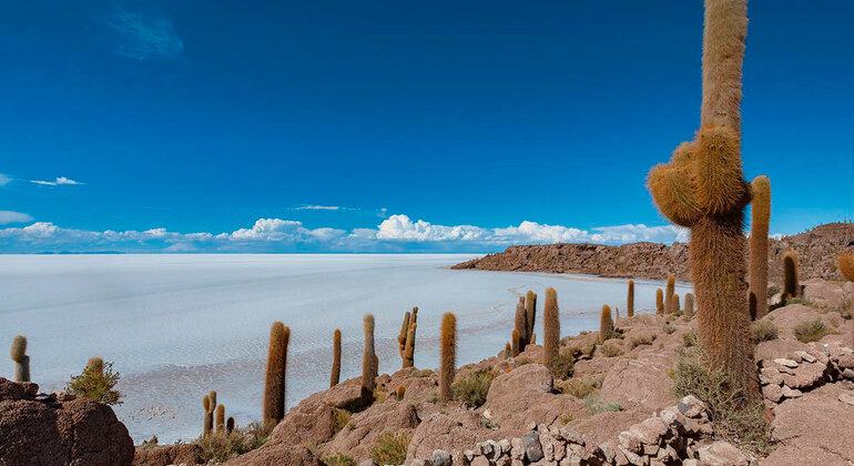 salar-de-uyuni-full-day-tour-es-5