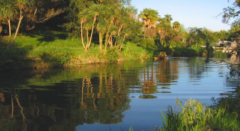 tour-en-mercado-de-adler-y-parque-de-cultivos-del-sur-es-2