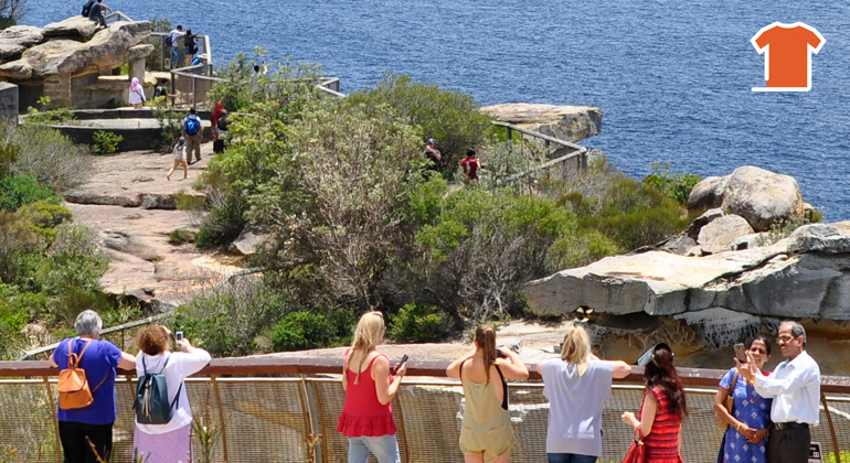 Sydney Sightseeing Bus Tour