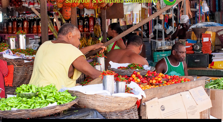 ivan-bahia-culture-tour-salvador--years-in--day-en-3