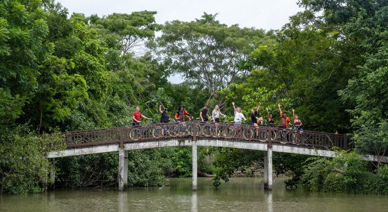 Colors of Bangkok Bike Tour Provided by Recreational Bangkok Biking