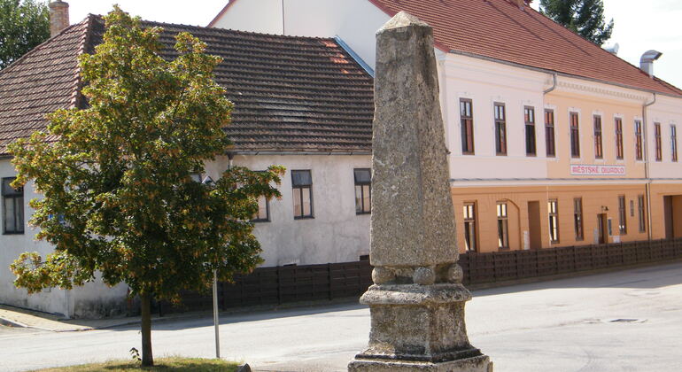 guardians-of-the-blue-rose-protected-the-heart-of-europe-en-5