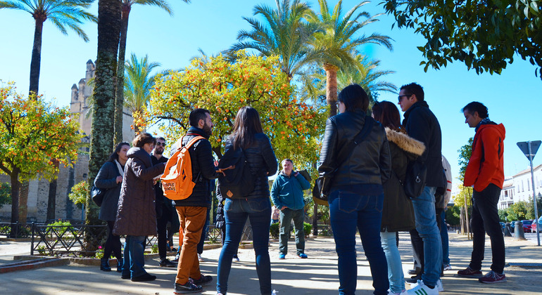 Free-Tour-Sevilla-10