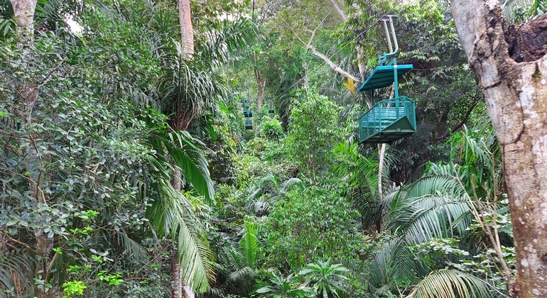 Aventura no Panamá com teleféricos e santuário de preguiças Organizado por RD TOUR PTY