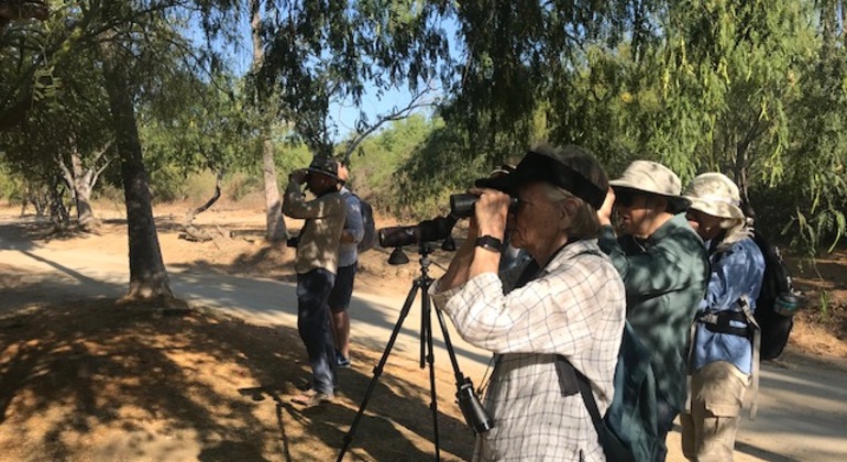 Paseo por la naturaleza y observación de aves por el estuario de San José