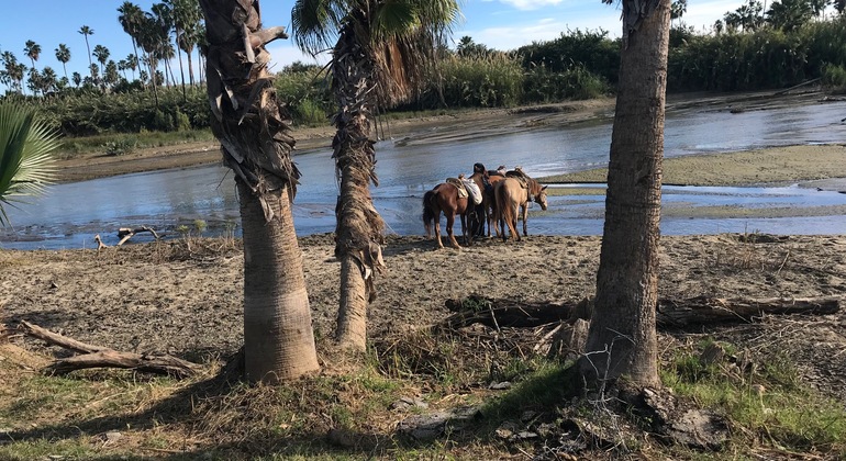 san-jose-estuary-nature-birding-walk-es-1