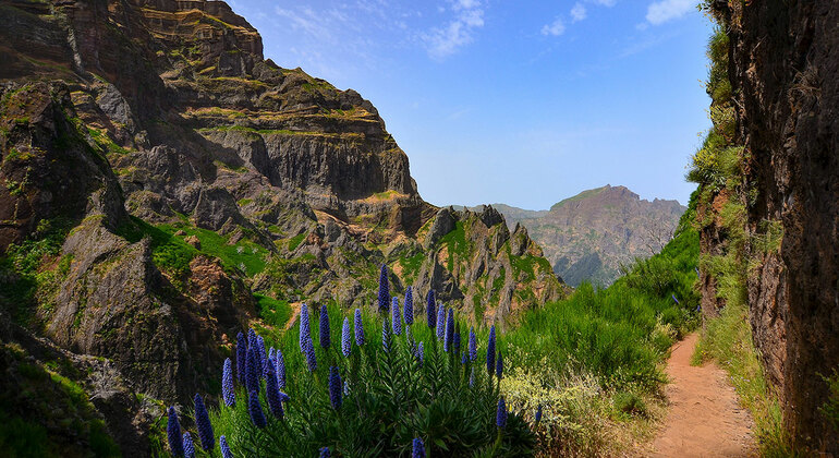 free walking tour madeira