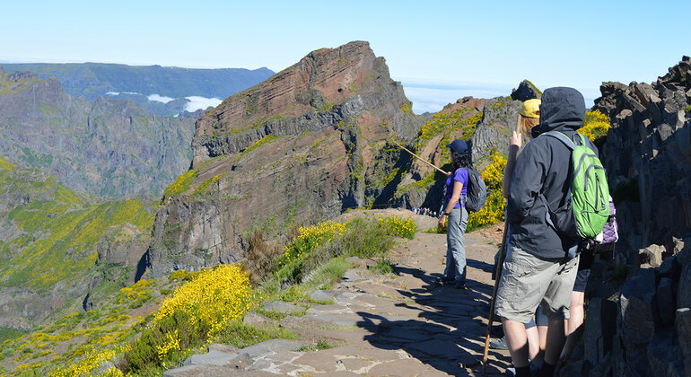 free walking tours madeira