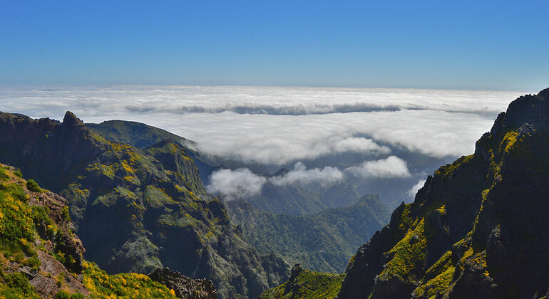 free walking tours madeira