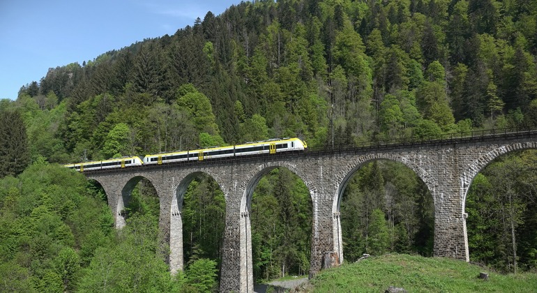 guided-hiking-route-in-spanish-titisee-en-2