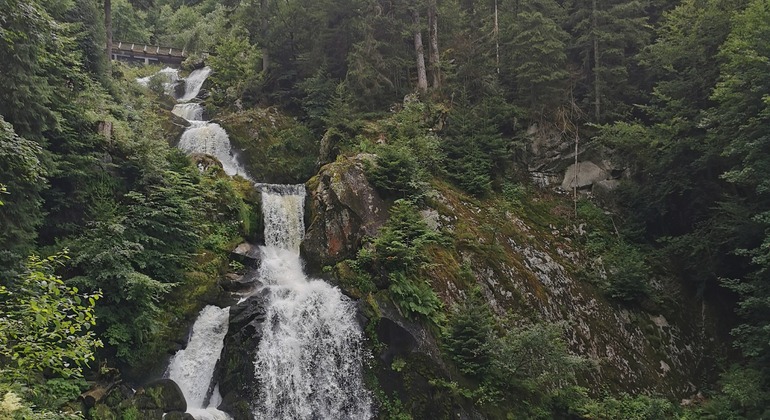 guided-hiking-route-in-spanish-triberg-en-2