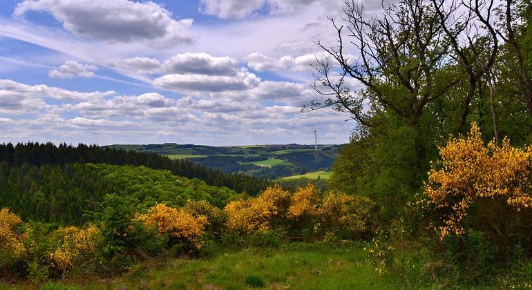 walking-tour-center-of-luxembourg-es-1