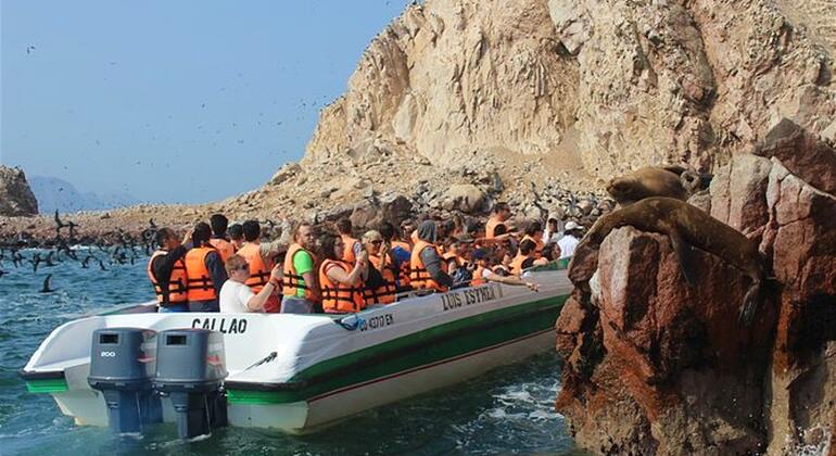 morning-tour-ballestas-island-from-paracas-en-3