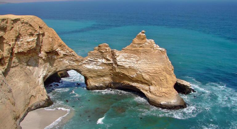 morning-tour-ballestas-island-from-paracas-en-5