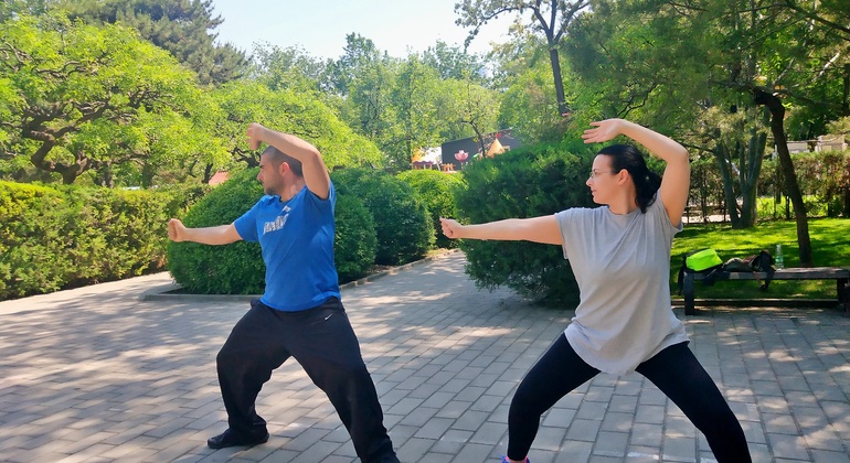 private-tai-chi-and-kong-fu-class-in-beijing-en-1