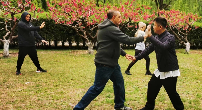 private-tai-chi-and-kong-fu-class-in-beijing-en-5