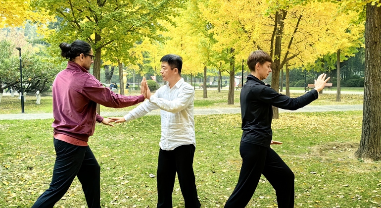 private-tai-chi-and-kong-fu-class-in-beijing-es-7