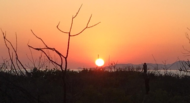 cabo-san-lucas-sunset-or-sunrise-walk-es-1