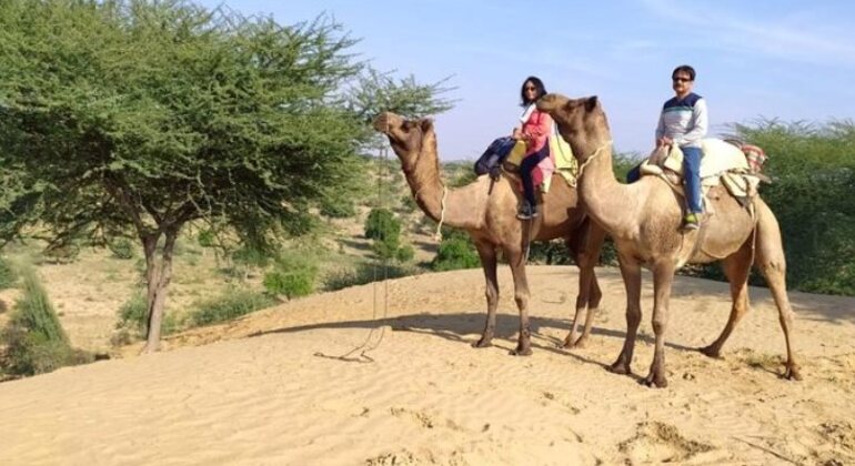 camel-safari-half-day-tour-in-jodhpur-es-2