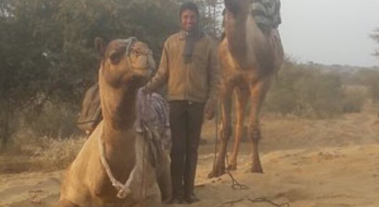 camel-safari-half-day-tour-in-jodhpur-es-5