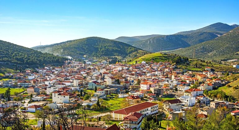 full-day-tour-to-delphi-arachova-and-distomo-en-7