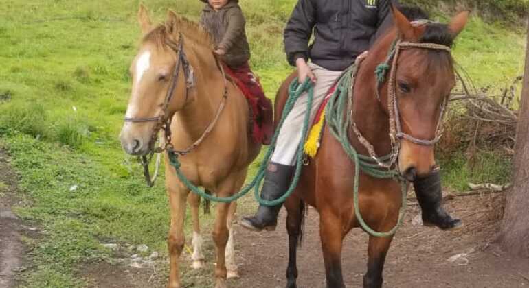 laakta-horseback-riding-en-2