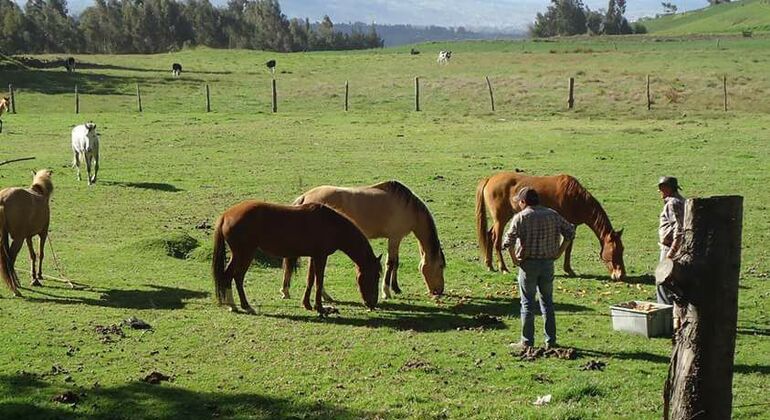 laakta-horseback-riding-en-4