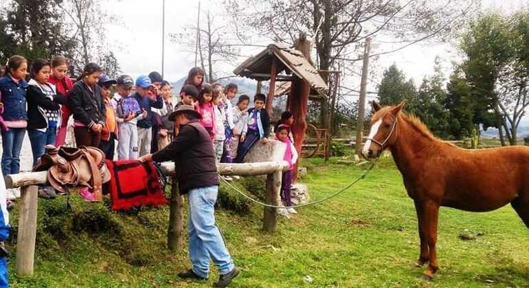 Full Day "Guagua Chagra"