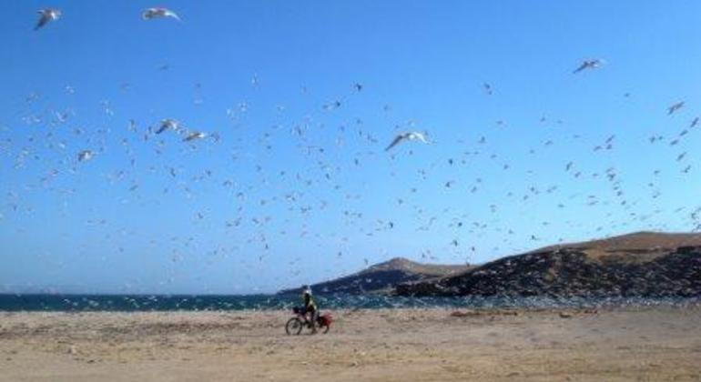 paracas-desert-full-day-cycling-tour-en-1