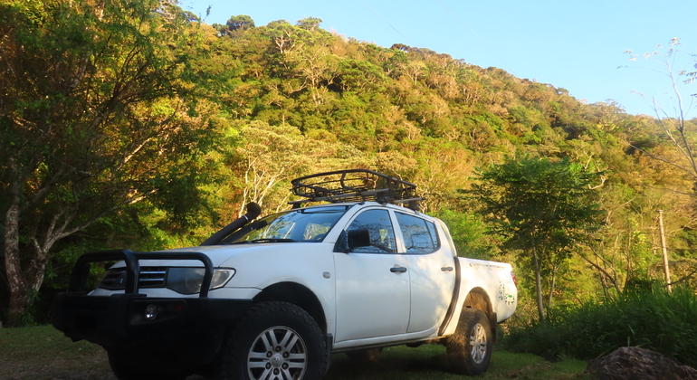 Observation des oiseaux dans le parc national de Soberania