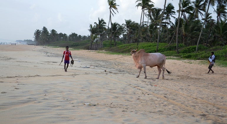 old-goa-and-panjim-private-tour-by-car-en-1