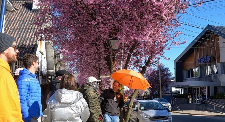 free-walking-tour-bariloche-en-17