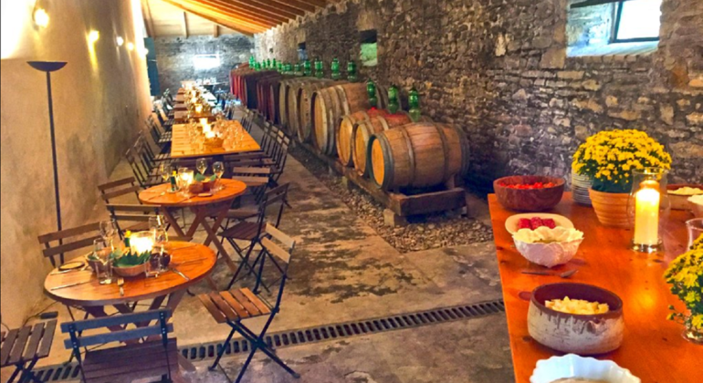 Visita a bodegas con cata de vinos y aceitunas en Corfú