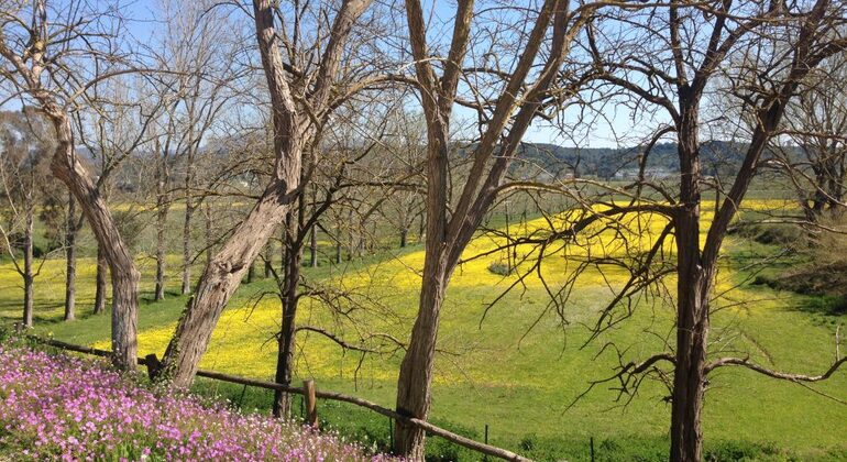 winery-tour-with-wine-tasting-at-theotoky-estate-in-corfu-en-6