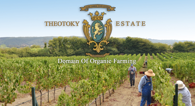 winery-tour-with-wine-tasting-at-theotoky-estate-in-corfu-en-9