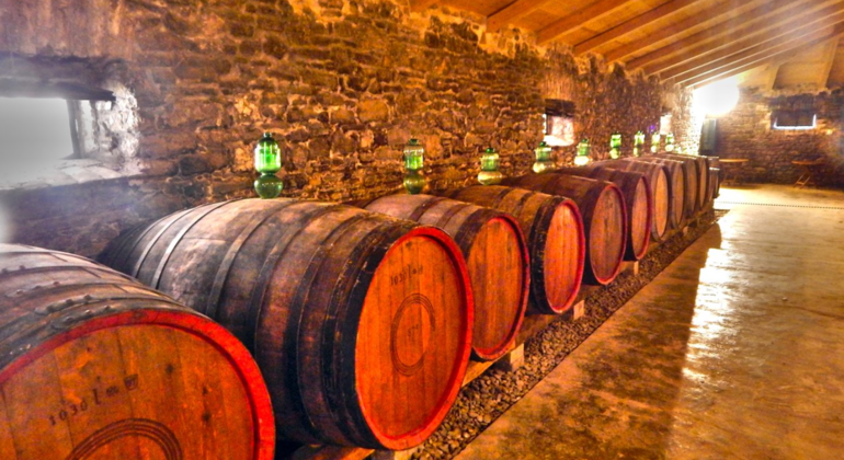 winery-tour-with-wine-tasting-at-theotoky-estate-in-corfu-en-15