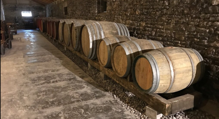 winery-tour-with-wine-tasting-at-theotoky-estate-in-corfu-en-20