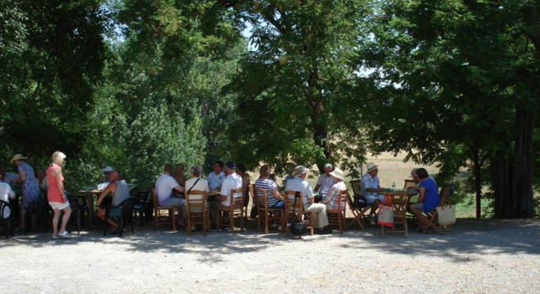 winery-tour-with-wine-tasting-at-theotoky-estate-in-corfu-en-22